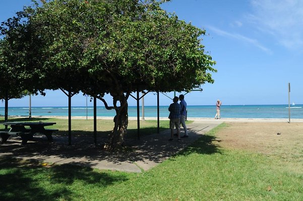 Kapiolani Beach Park 3840 Paki Ave Kapiolani Beach Park 3840 Paki Ave