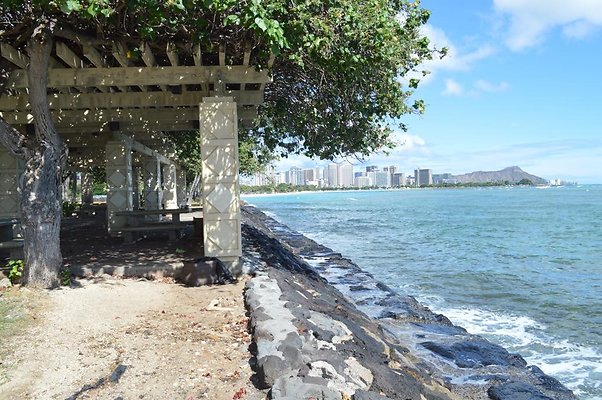 th DSC 0106 th DSC 0106