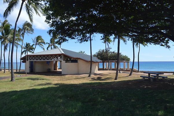 th DSC 0102 th DSC 0102