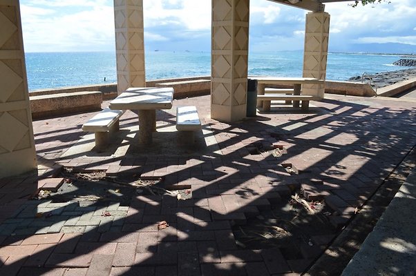 th DSC 0085 th DSC 0085