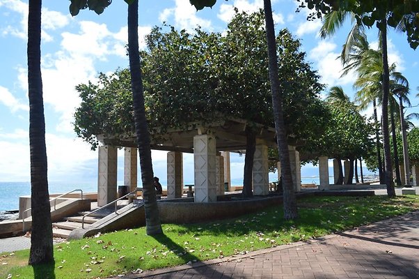 th DSC 0091 th DSC 0091