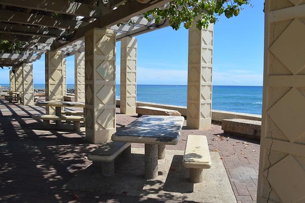 th DSC 0101 th DSC 0101