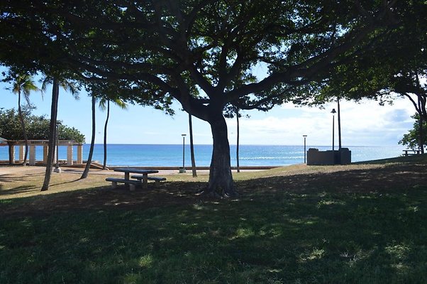 th DSC 0103 th DSC 0103