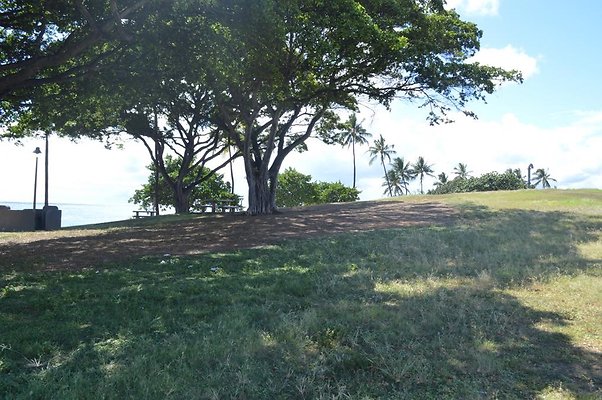 th DSC 0104 th DSC 0104