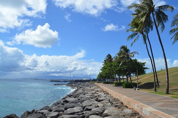 th DSC 0099 th DSC 0099