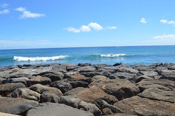 th DSC 0079 th DSC 0079