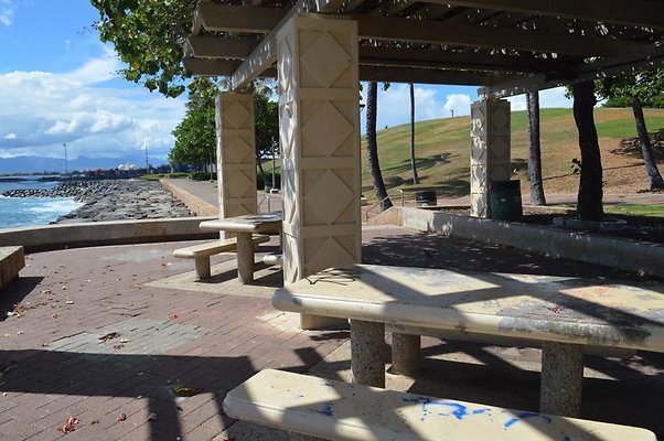 th DSC 0098 th DSC 0098