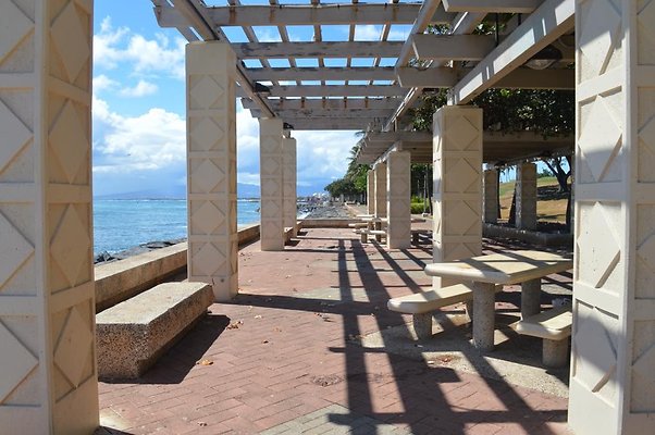 th DSC 0081 th DSC 0081