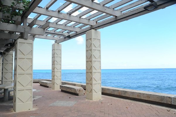 th DSC 4905 th DSC 4905