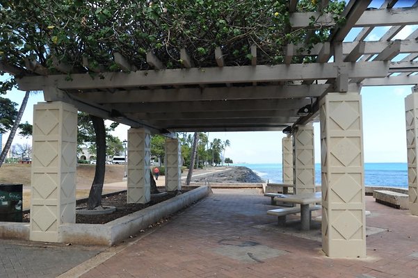 th DSC 4904 th DSC 4904