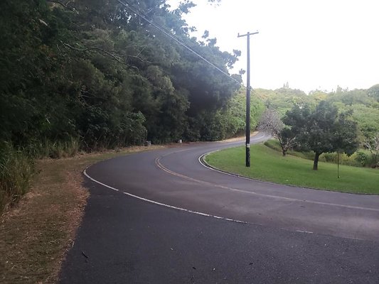 Makiki Puu Ualakaa State Park Makiki Puu Ualakaa State Park