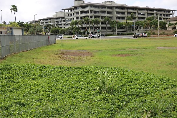 Hawaii Kai Drive Jon 306 5627