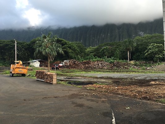 th IMG 7678 th IMG 7678