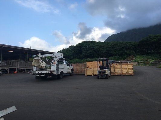 th IMG 7677 th IMG 7677