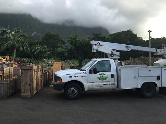 th IMG 7668 th IMG 7668