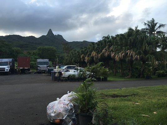 th IMG 7670 th IMG 7670