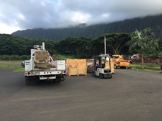 th IMG 7673 th IMG 7673