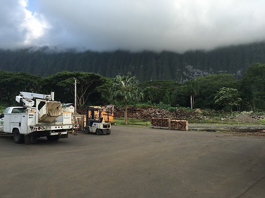 th IMG 7684 th IMG 7684