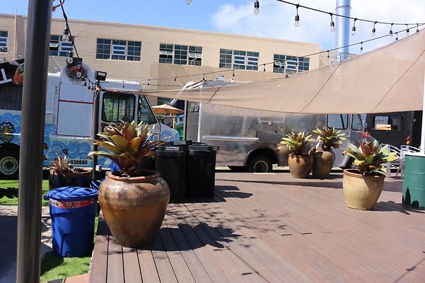 th IMG 0658 th IMG 0658