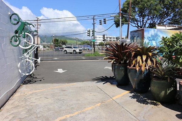 th IMG 0666 th IMG 0666