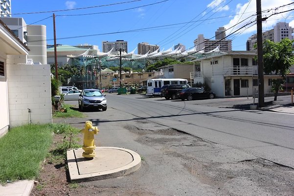 th IMG 0650 th IMG 0650