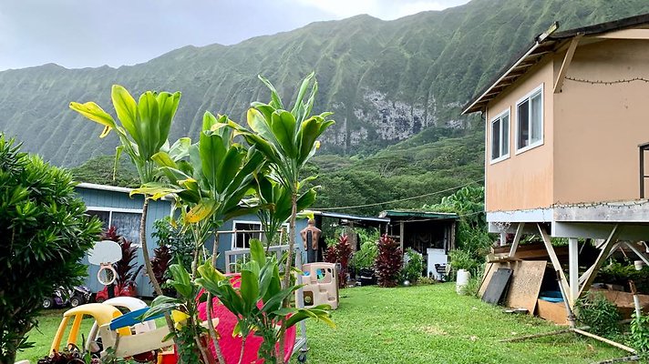 th IMG 5242 th IMG 5242