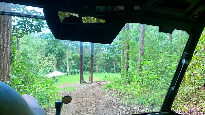 th IMG 5358 th IMG 5358