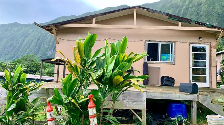 th IMG 5241 th IMG 5241