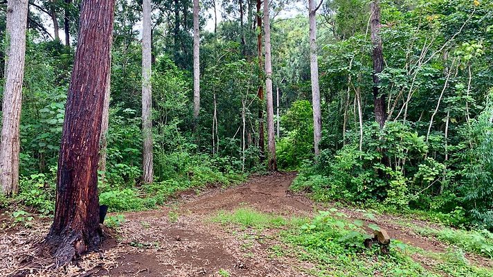 th IMG 5360 th IMG 5360