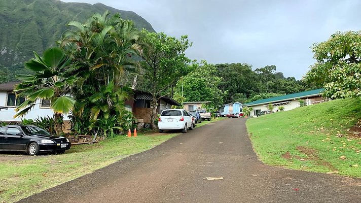 th IMG 5239 th IMG 5239