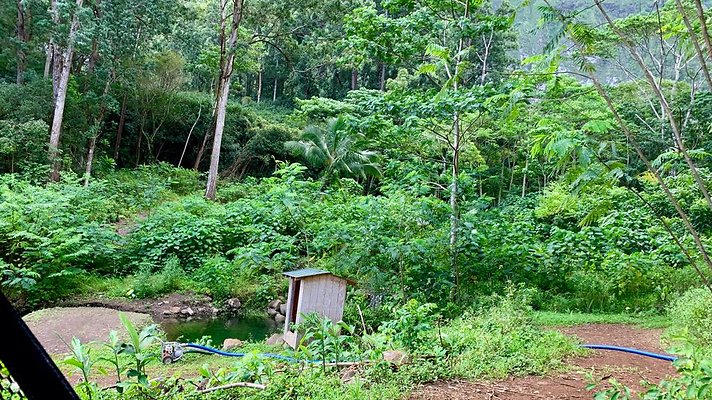 th IMG 5288 th IMG 5288