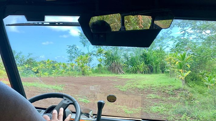 th IMG 5291 th IMG 5291