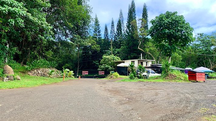 th IMG 5253 th IMG 5253