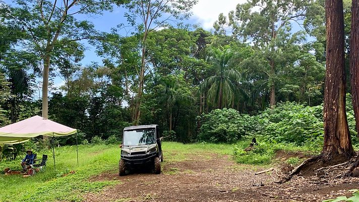 th IMG 5367 th IMG 5367