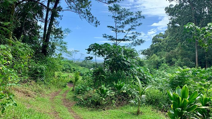 th IMG 5279 th IMG 5279