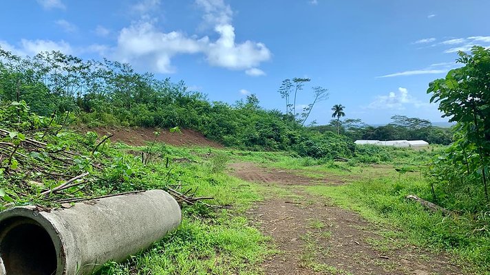 th IMG 5286 th IMG 5286