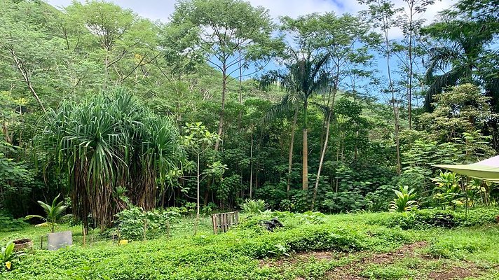 th IMG 5365 th IMG 5365