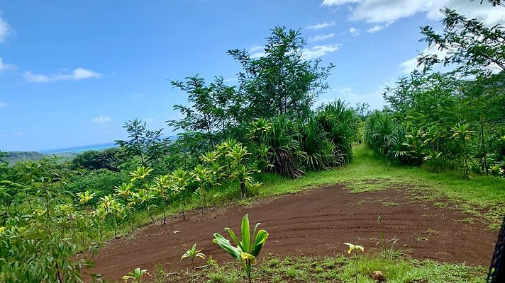 th IMG 5292 th IMG 5292