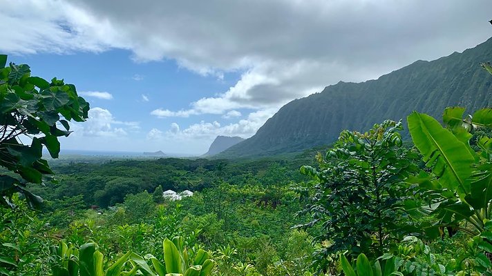 th IMG 5313 th IMG 5313