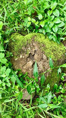 th IMG 5272 th IMG 5272