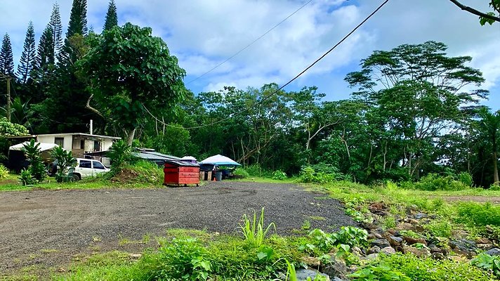 th IMG 5254 th IMG 5254