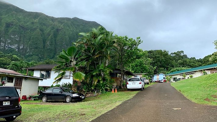 th IMG 5240 th IMG 5240