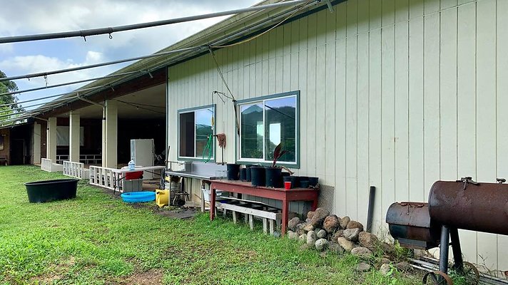 th IMG 5230 th IMG 5230