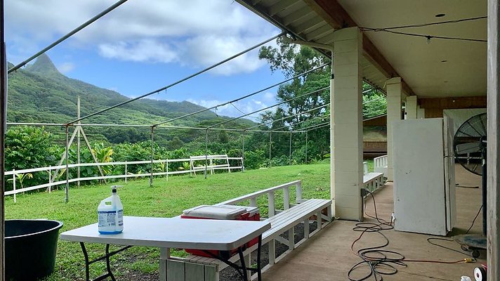 th IMG 5226 th IMG 5226