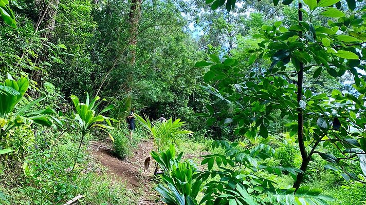 th IMG 5276 th IMG 5276