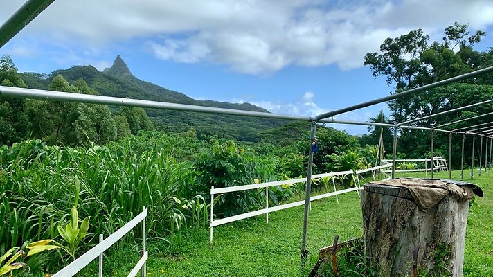 th IMG 5229 th IMG 5229