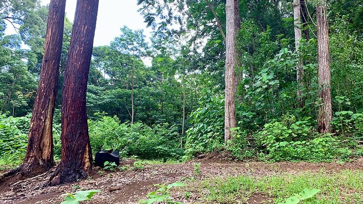 th IMG 5368 th IMG 5368