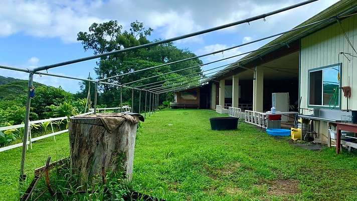 th IMG 5228 th IMG 5228