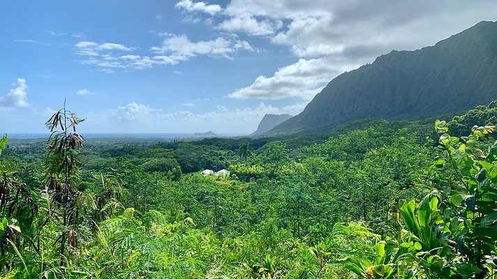 th IMG 5296 th IMG 5296