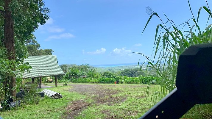 th IMG 5337 th IMG 5337